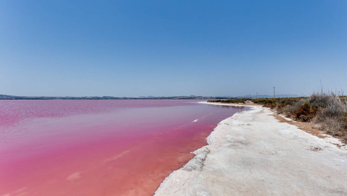 Venta - Town House - Torrevieja - Torrevieja Centro