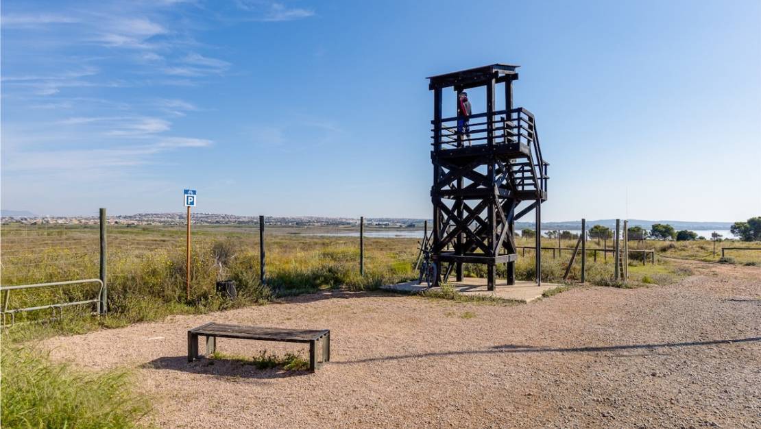 Venta - Town House - Torrevieja - Torrevieja Centro