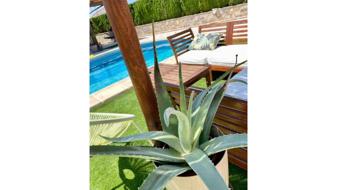Venta - Villa / Detached - Ciudad Quesada - Quesada Center