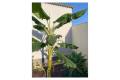 Venta - Villa / Detached - Ciudad Quesada - Quesada Center
