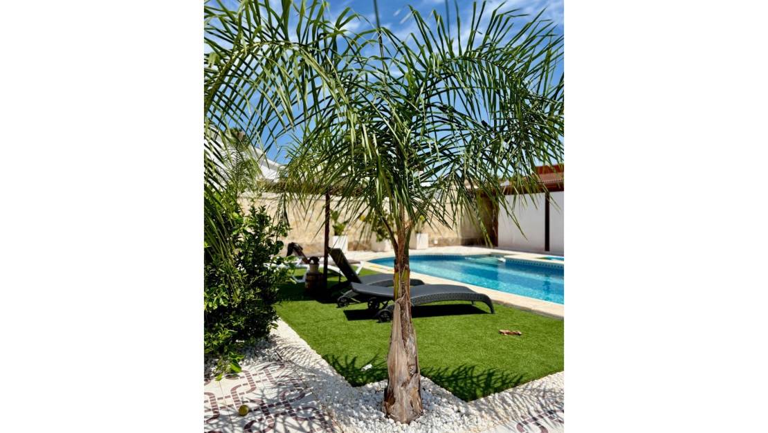 Venta - Villa / Detached - Ciudad Quesada - Quesada Center