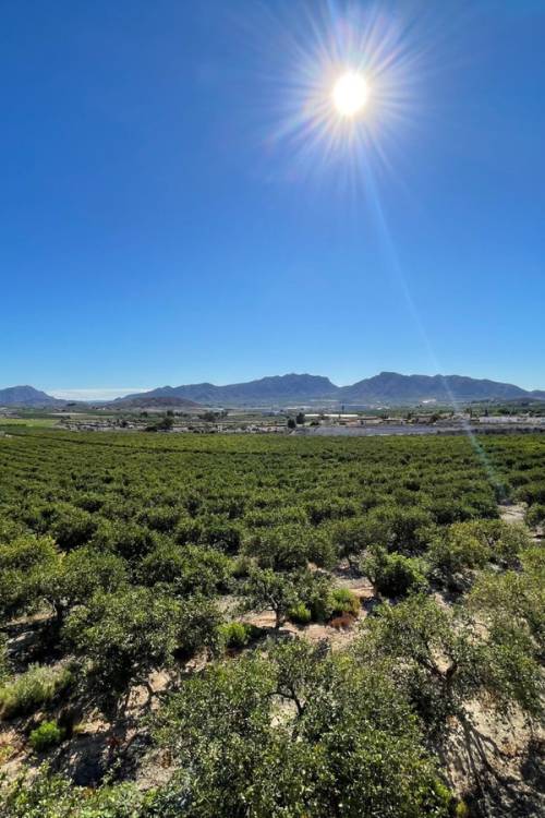 Villa - Sale - Murcia - Murcia City