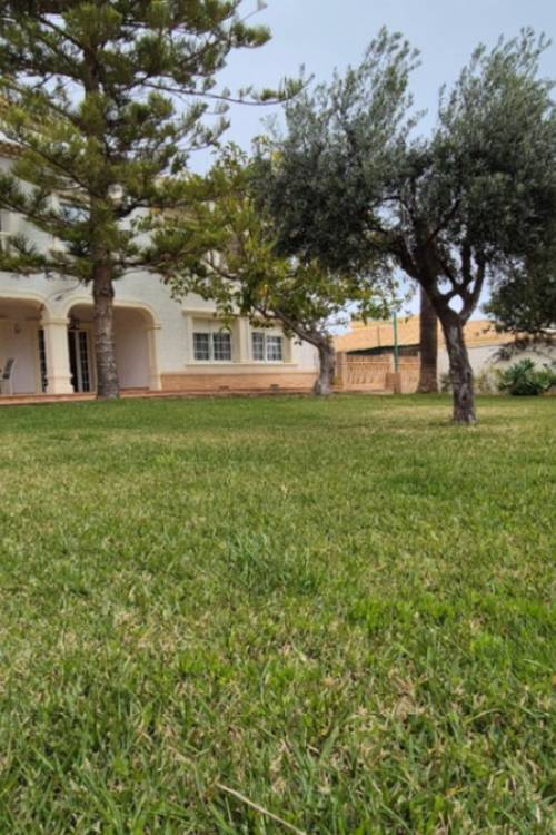 Villa - Sale - Orihuela - Orihuela Centro