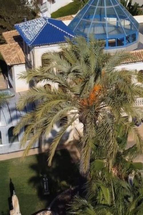 Villa - Sale - Orihuela - Orihuela Costa