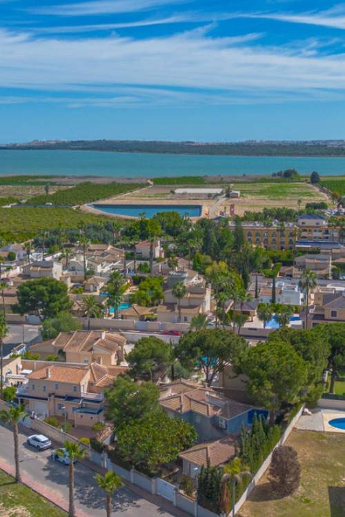 Villa - Sale - Rojales - Rojales Centro