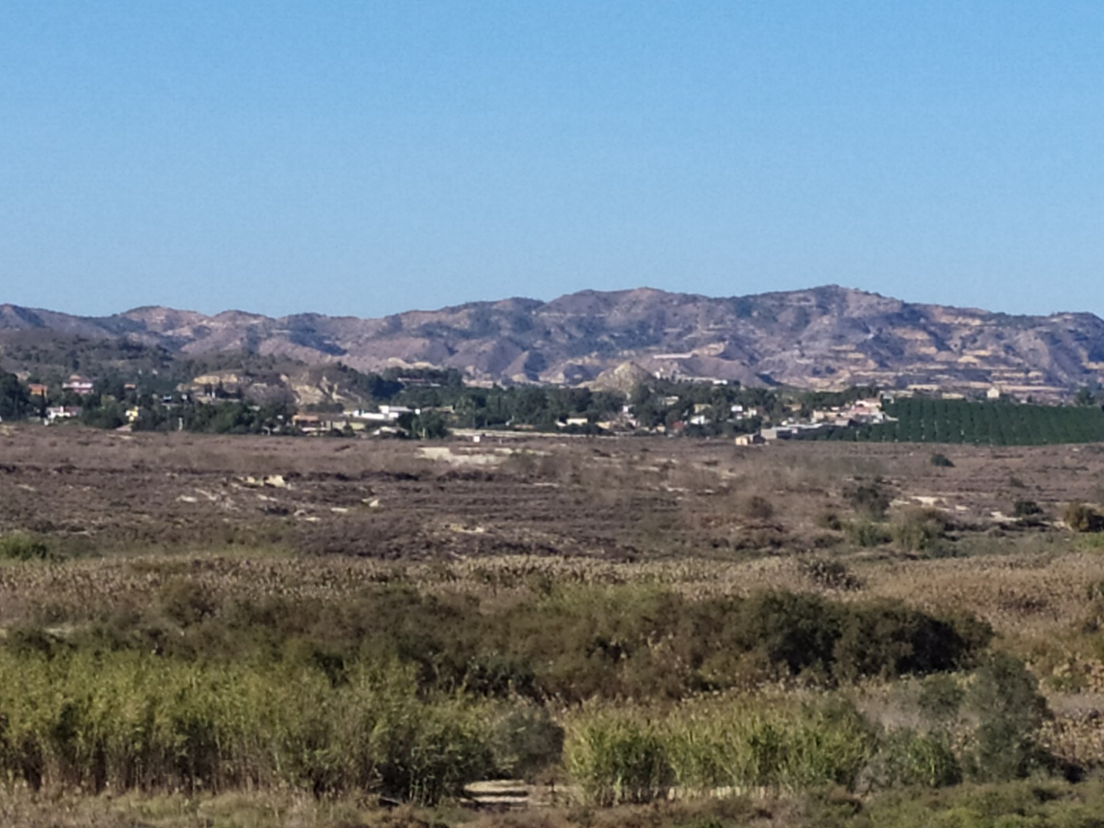 D-2047: Finca for sale in Orihuela