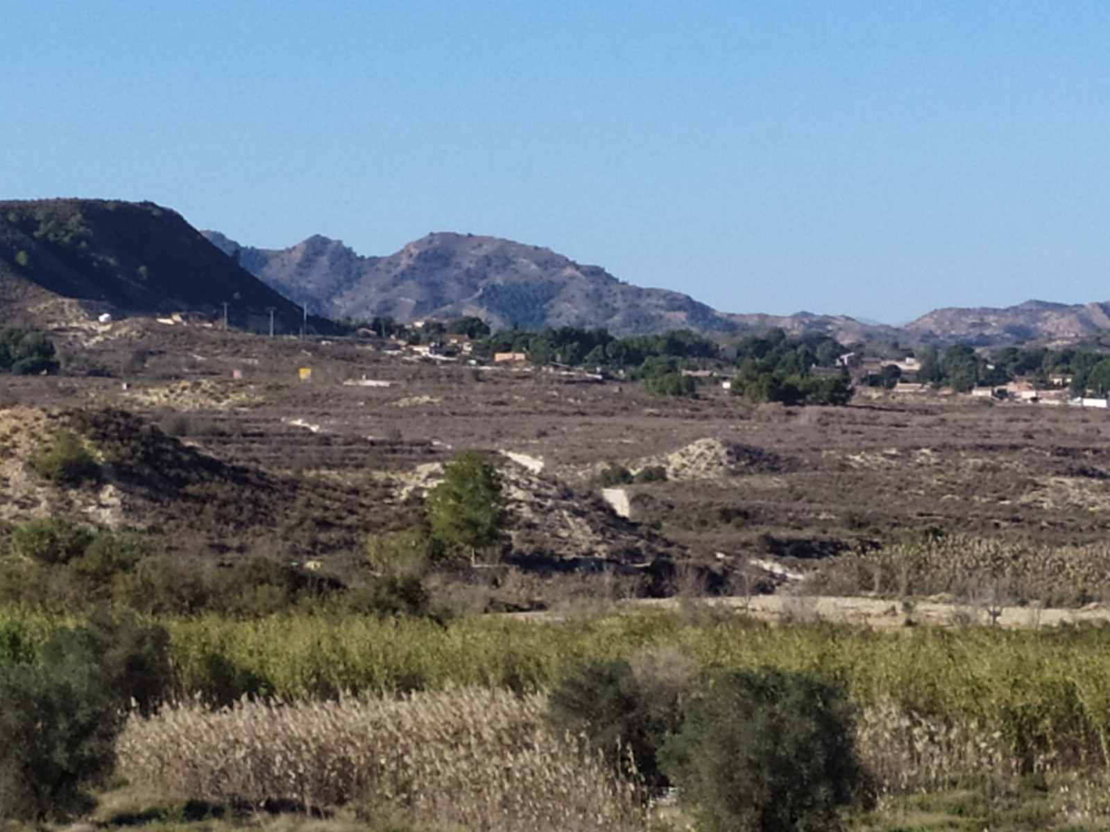 D-2047: Finca for sale in Orihuela