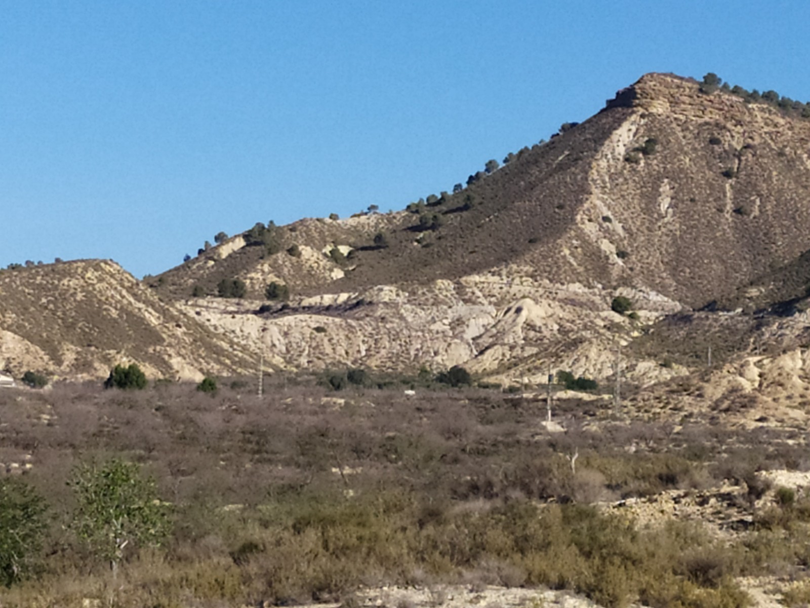 D-2047: Finca for sale in Orihuela
