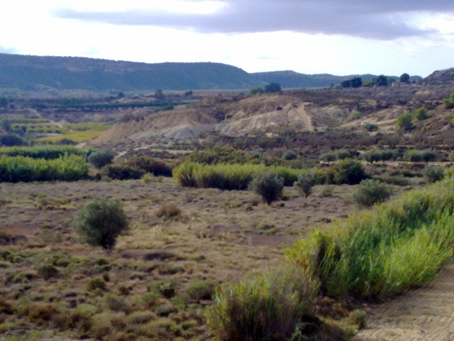 D-2047: Finca for sale in Orihuela