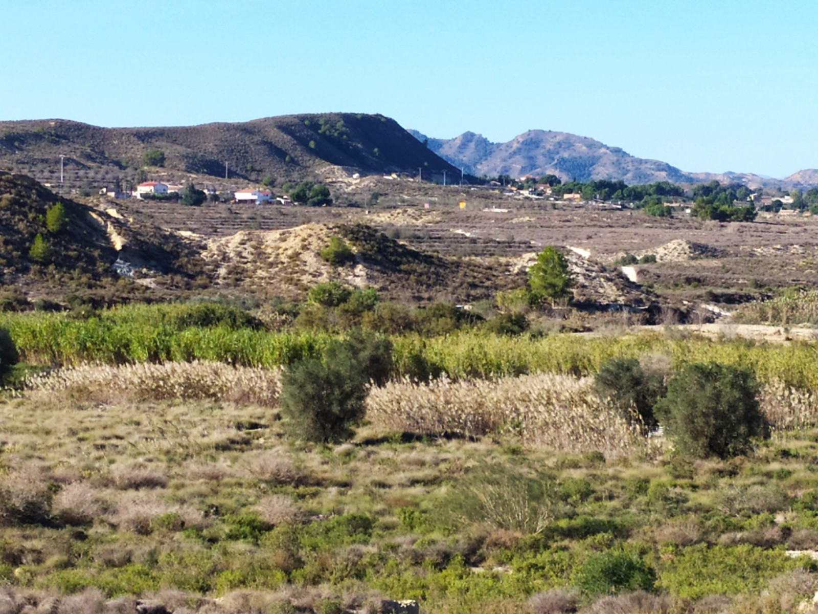 D-2047: Finca for sale in Orihuela